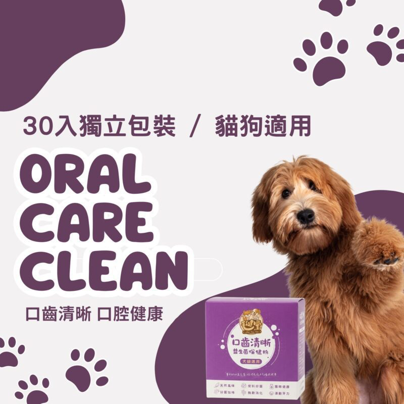毛健寶口齒清新保健粉商品圖