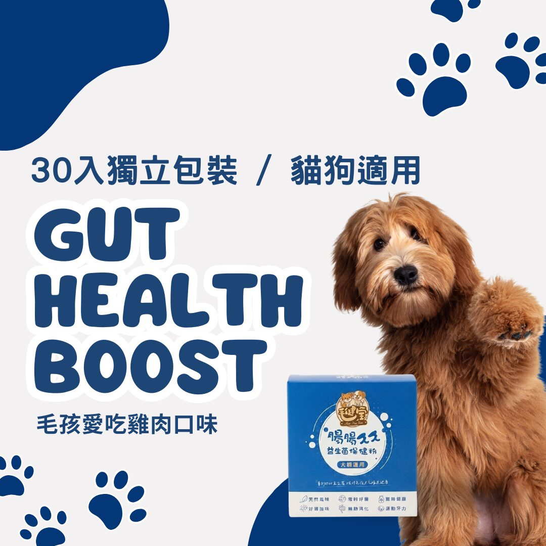 毛健寶腸腸久久益生菌商品圖
