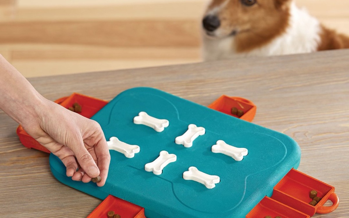 狗狗準備探索 Nina Ottosson Dog Casino LV.3 益智玩具