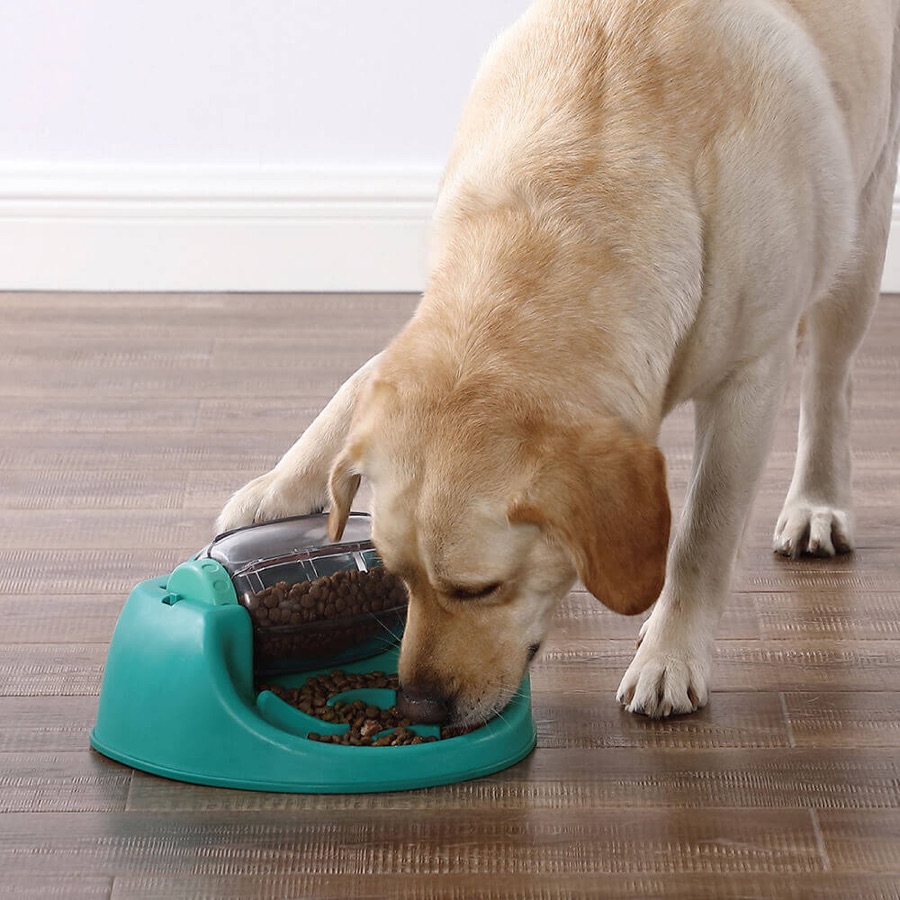 狗狗從貪吃狗食來運轉盤慢食槽吃乾糧