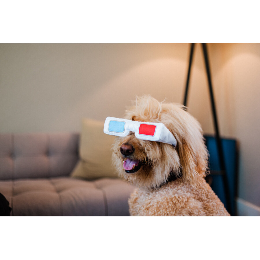狗狗叼取 3D 眼鏡玩具