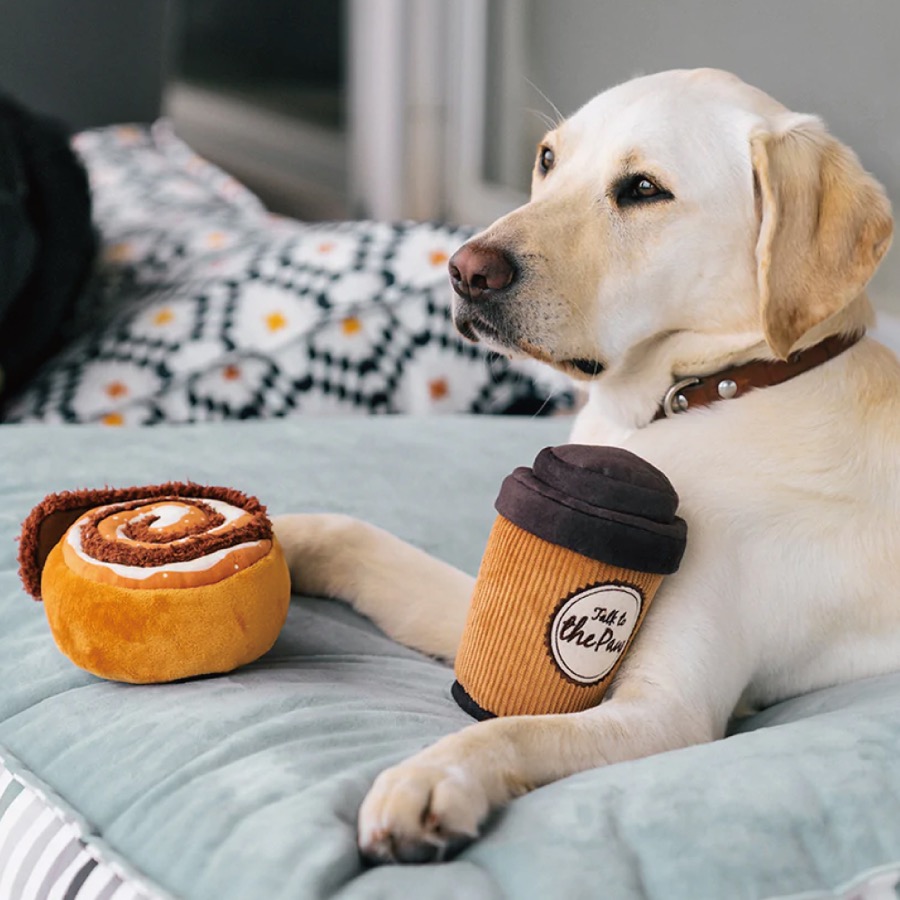 狗狗與 Pup Cup Café 肉桂捲及拿鐵外帶杯互動