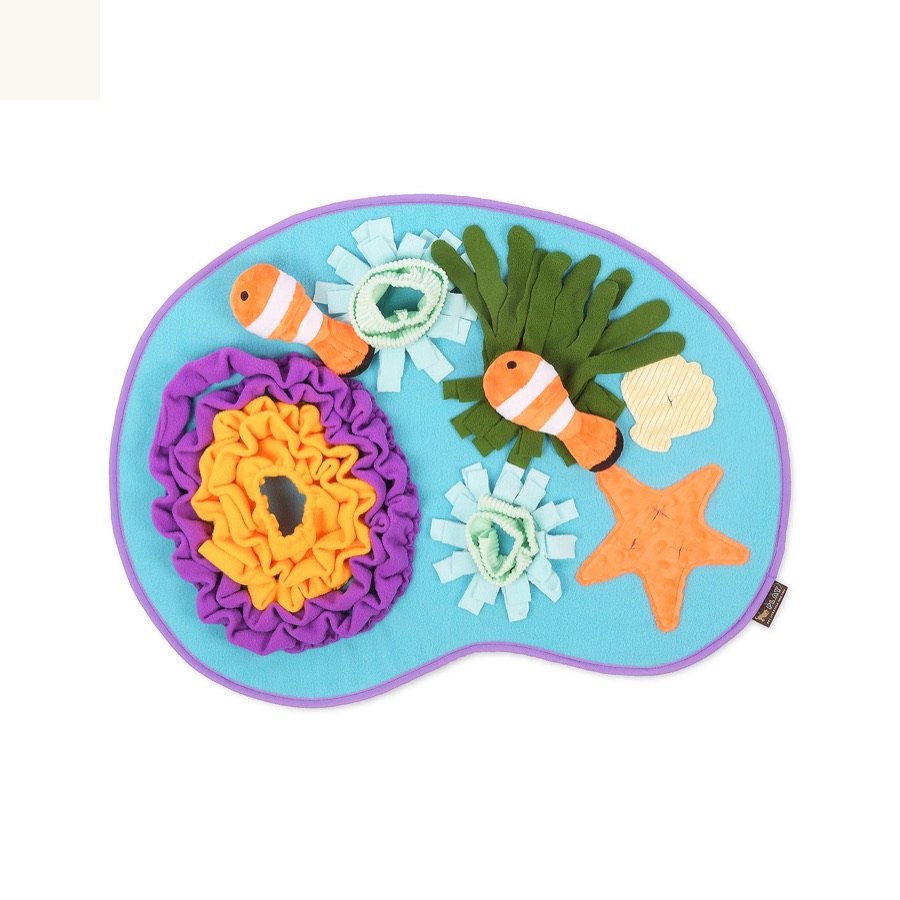 珊瑚海灣嗅聞墊完整產品與兩隻魚