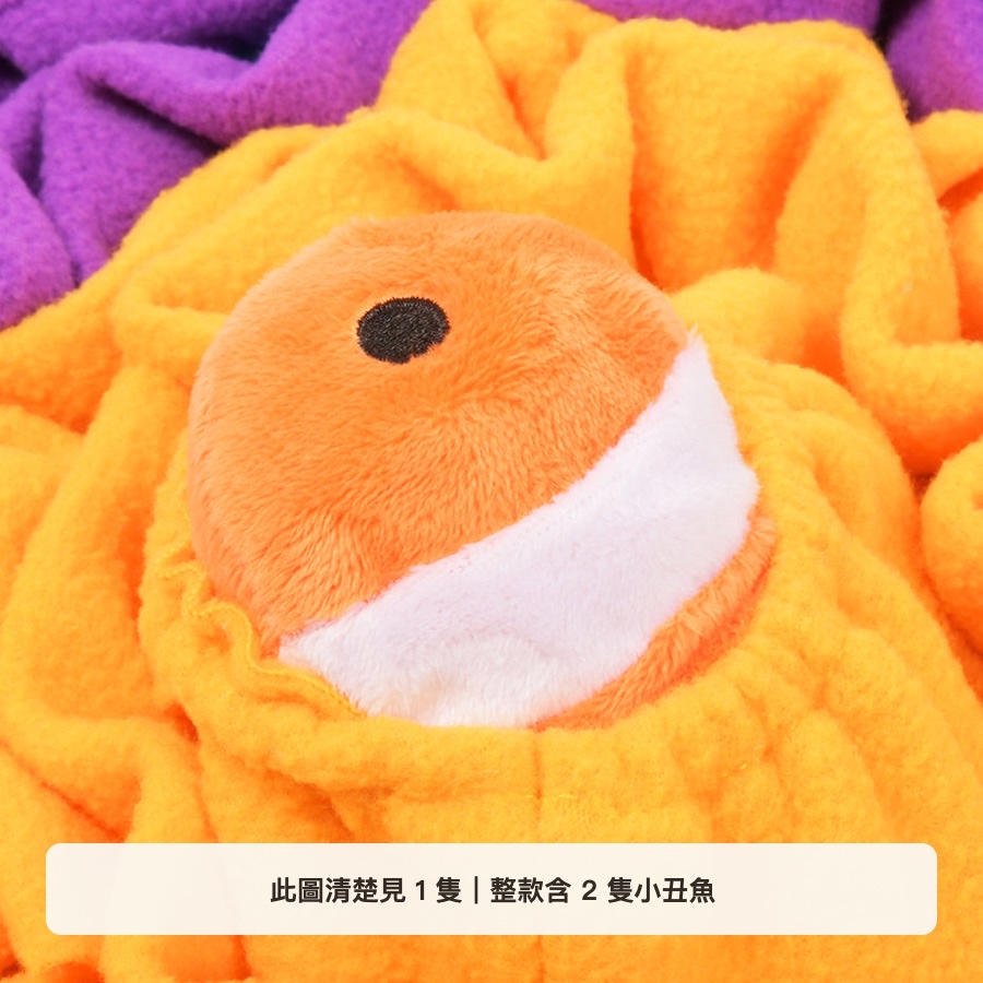 珊瑚海灣小丑魚數量說明