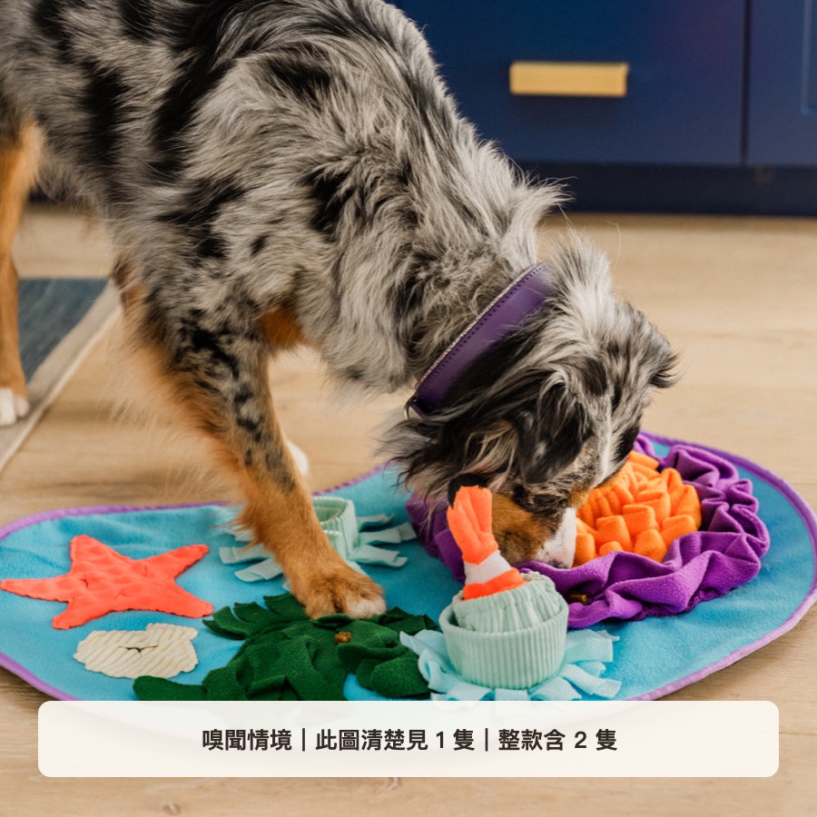 珊瑚海灣嗅聞情境說明