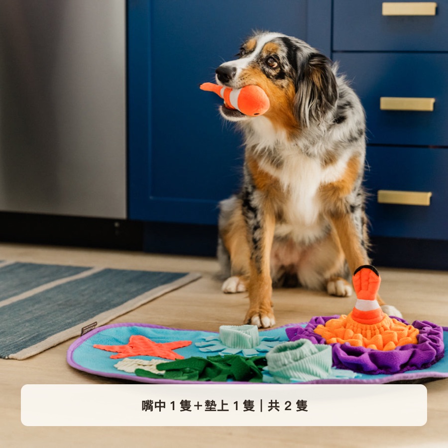 狗狗與兩隻可拆式小丑魚互動